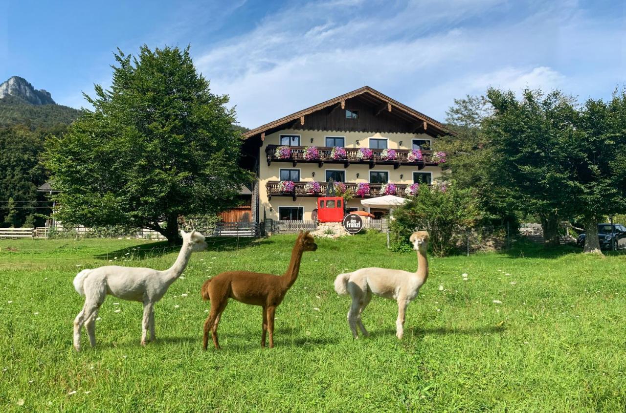 Das Franzl - Bett & Brot Sankt Wolfgang im Salzkammergut Exterior foto
