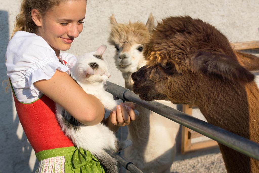Das Franzl - Bett & Brot Sankt Wolfgang im Salzkammergut Exterior foto