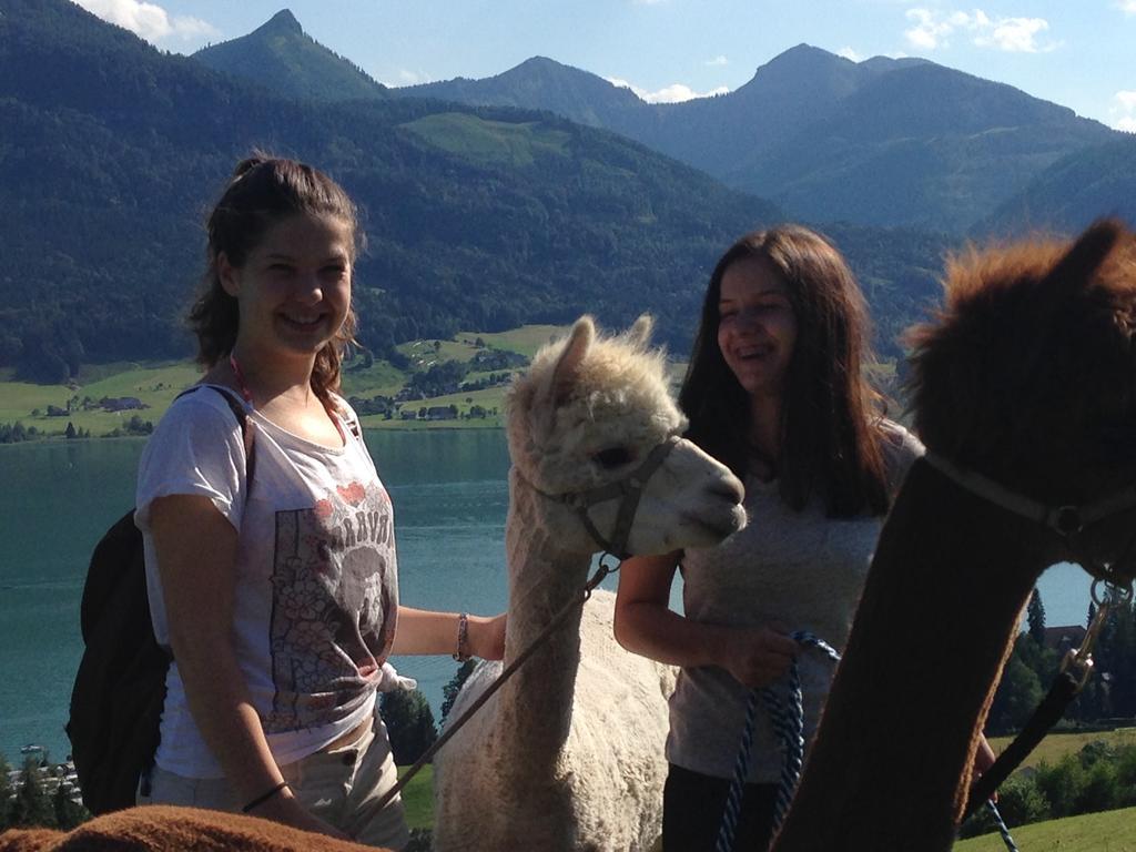 Das Franzl - Bett & Brot Sankt Wolfgang im Salzkammergut Exterior foto