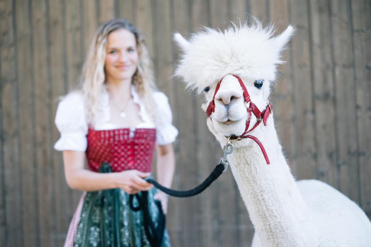 Das Franzl - Bett & Brot Sankt Wolfgang im Salzkammergut Exterior foto