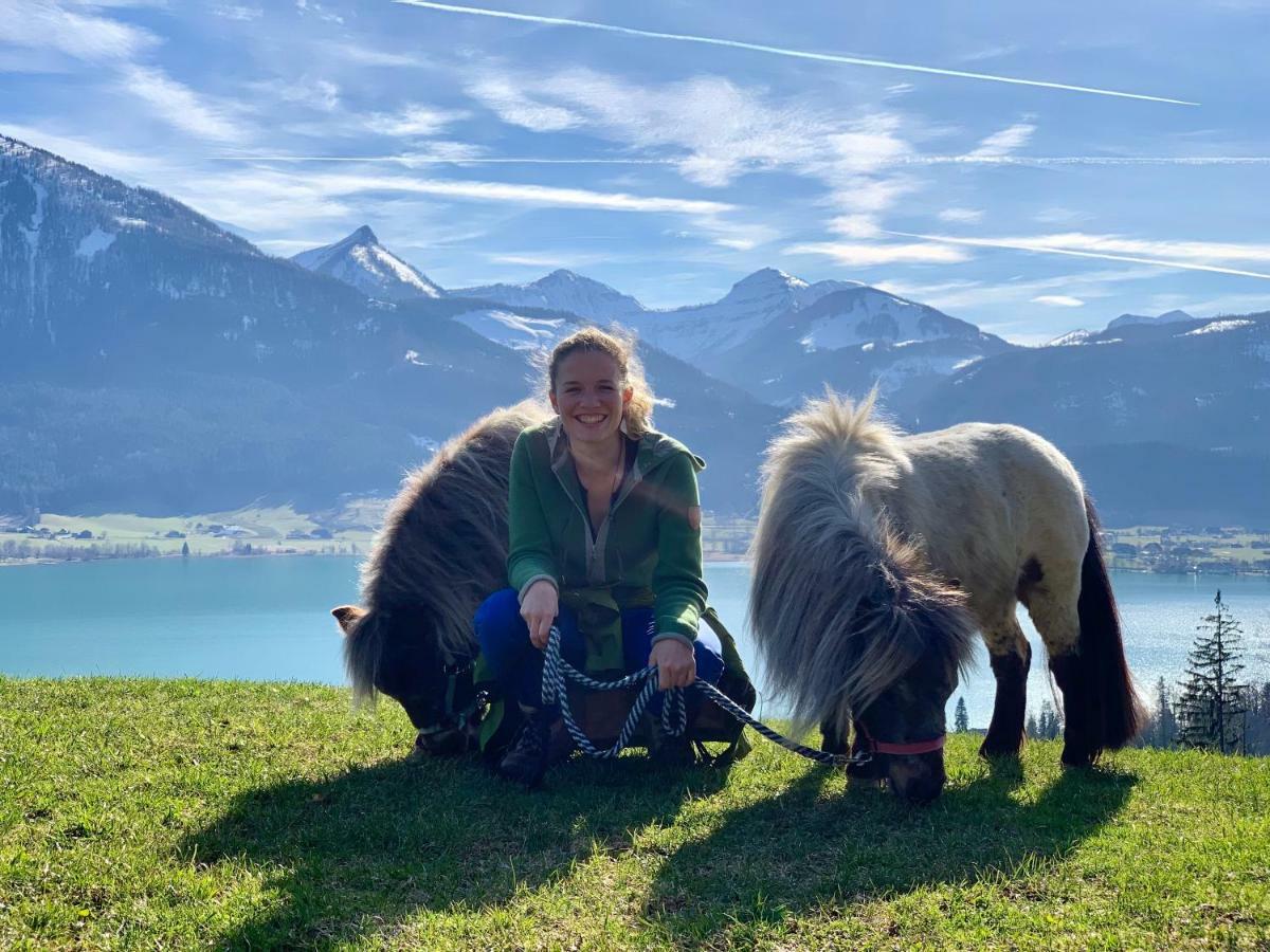 Das Franzl - Bett & Brot Sankt Wolfgang im Salzkammergut Exterior foto